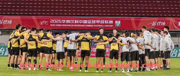 ky开云体育-CBA足球员丁彦航：丁彦航在CBA篮球与足球领域的表现
