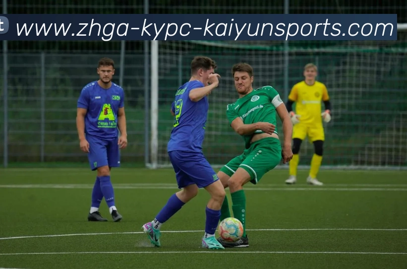 开云体育APP 高清赛事图